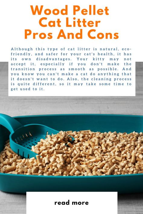 wood pellet cat litter pros and cons Healthy Treats Recipes, Diy Cat Toys, Wood Pellet, Types Of Cats, Wood Pellets, Common Questions, Cat Health, Cat Litter Box, Cat Diy