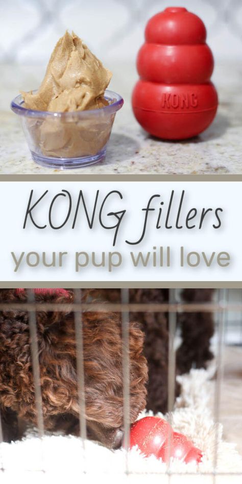 Kong Fillers For Puppies, Teething Puppy Treats, Kong Filling Ideas Puppy, Teething Puppy Remedies, Puppy Teething Remedies, Kong Filling Ideas, Kong Fillers, Kong Stuffing Recipes, Healthy Puppy Treats