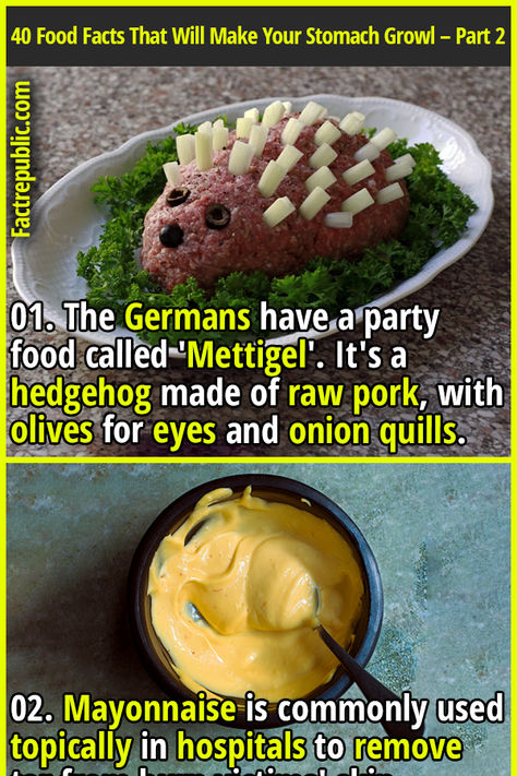 01. The Germans have a party food called 'Mettigel'. It's a hedgehog made of raw pork, with olives for eyes and onion quills. #food #health #fitness #humanbody #women #female #woman #recipe Feminine Advice, Scary Food, Stomach Growling, Raw Pork, Gross Food, Bizarre Foods, Fact Republic, Curious Facts, Savory Food