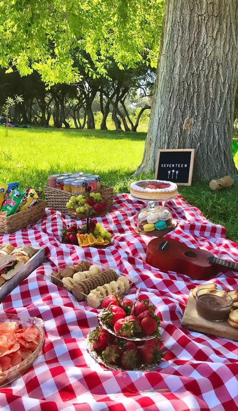 Simple Picnic Party, Picnic Bday Party Ideas Simple, Picnic Party Aesthetic, Ideas De Picnic, Picnic Set Up, Birthday Picnic Ideas, Picnic Aesthetic Friends, Aesthetic Picnic Ideas, Wedding Picnic Reception