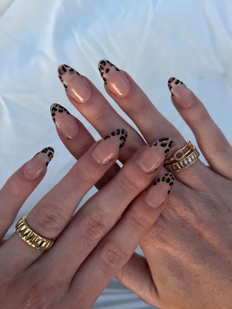 Fall Gel Nails Cheetah, Leopard Almond Nails Cheetah Print, Cool Nail Inspo 2024 Almond, Fall Inspo Nails Short, Cheats Print Nails, Nail Idea Fall, Short Hoco Nails, Senior Picture Nails Ideas, Easy Simple Nail Designs