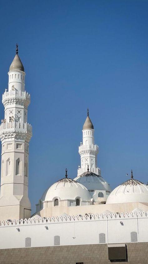 Masjid Quba, Beautiful Mosque, Tiger Pictures, Beautiful Mosques, Quote Backgrounds, Makkah, Mecca, Ahmedabad, Art And Architecture