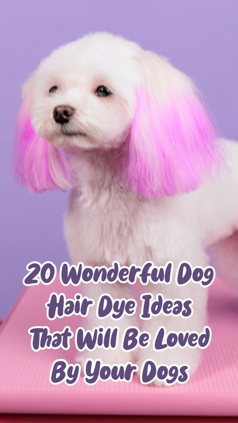 Suppose you are looking for dog hair dye ideas, then you come to the right place. Let’s take a look at our cool ideas below that may be loved by your lovely dog! #doghairdyeideas #doghairdyeideasshort hair #doghairdyeideaschristmas #doghairdyeideascreativegrooming #doghairdyeideashalloween #doghairdyeideashusky #dogdyeideashaircolors Pet Dye Ideas, Diy Dog Hair Dye, Hair Color For Dogs, Dog Fur Dye Ideas, Pet Hair Dye Ideas, Hair Dye For Dogs, Dog Hair Color Ideas, Dog Hair Color, Poodle Hair Dye Ideas