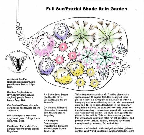 Full Sun/Partial Shade Rain Garden Small Pollinator Garden, Partial Shade Flowers, Lobelia Cardinalis, Flower Places, Cardinal Flower, Flower Bed Designs, Home Gardens, Shade Flowers, Pollinator Garden