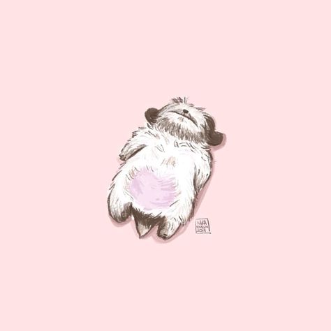 I`t a ?? Wallpaper Guys, Cute Shih Tzu, Shih Tzu, The Internet, Internet, Dogs, Pink