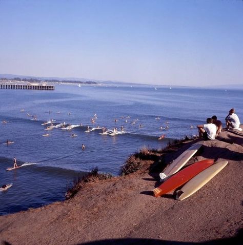 Santa Cruz, 1960's Vintage Santa Cruz, Santa Cruz Aesthetic, Santa Cruz Surf, Surf Baby, Cali Life, What A Beautiful World, Surf Culture, Coastal Life, Mermaid Life