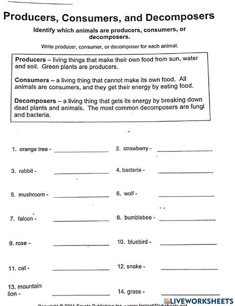 Consumer Producer Decomposer Activity, Producer Consumer Decomposer Activities, Producers Consumers Decomposers Activity, Decomposers Activity, Producers Consumers Decomposers, Spanish Subject Pronouns, Graphing Quadratics, Producers And Consumers, Plant Lessons