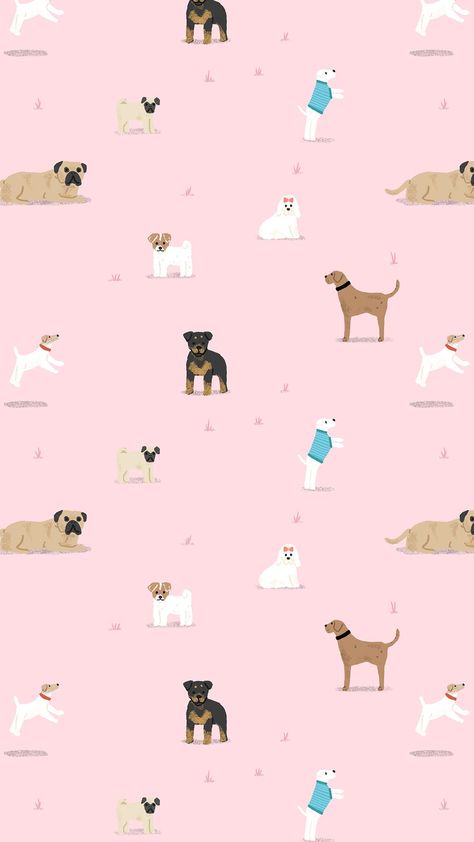 Psy Chihuahua, Dog Wallpaper Iphone, Wall Paper Phone, Back Ground, Cute Wallpaper, Trendy Wallpaper, Wallpaper Pattern, Dog Wallpaper, Backgrounds Phone Wallpapers