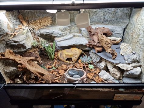 Leopard Gecko Bioactive, Bioactive Enclosure, Leopard Gecko Cage, Leopard Gecko Setup, Leopard Gecko Enclosure, Gecko Cage, Gecko Enclosure, Leopard Gecko Habitat, Leopard Gecko Tank