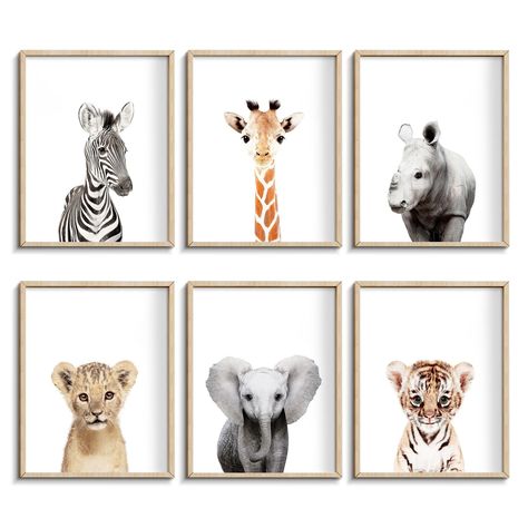 PRICES MAY VARY. ✨[INSPIRE THE IMAGINATION] - Teach little ones their second words,because the first sentence is Mom and Dad, help them learn and recognize animals 🎨[GET IT] - Set of 6 unframed jungle safari animal prints, Our minimalist animal prints are set against a bright white background and are playful yet sophisticated wall art addition to a child’s bedroom, nursery, or great for a safari themed birthday party ✔️[QUALITY GUARANTEED]: We always use high quality archival printer to ensure Baby Boy Safari Nursery Sculptures & Statues, Art For Nursrey, Safari Nursery Boy Artwork, Nursery Baby Art, Baby Room Wall Art Animals, Baby Room Animal Theme Target, Baby Room Artwork Target, Giraffe Nursery Wall Art, Nursery Animals Art