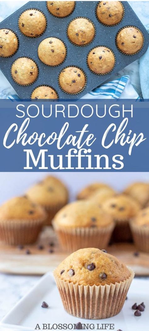 Sourdough Banana Chocolate Chip Muffins, Sourdough Discard Protein Muffins, Easy Active Sourdough Recipes, Easy Sourdough Muffins, Easy Sourdough Discard Muffins, Sourdough Breakfast Muffins, Sourghdough Discard Recipe, Sourdough Muffins Chocolate Chip, Chocolate Chip Sourdough Muffins