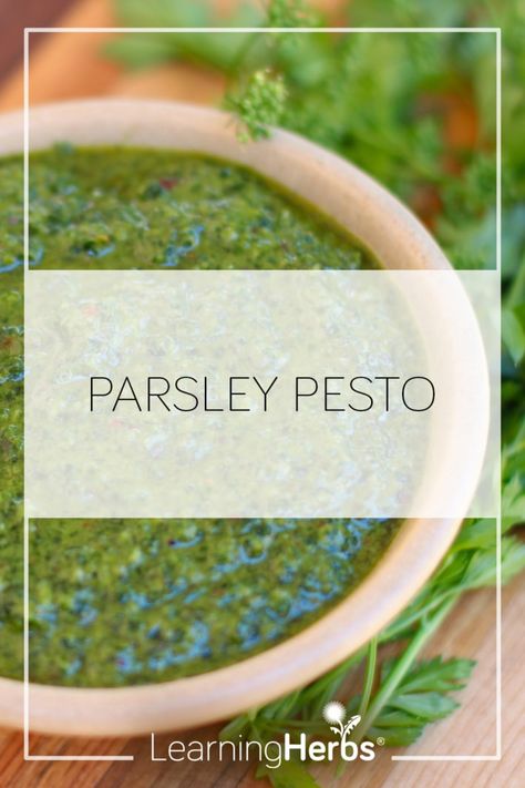 Parsley Pesto Recipe, Benefits Of Parsley, Parsley Benefits, Parsley Recipes, Parsley Pesto, Herb Recipes, Steak Sauce, Pesto Recipe, Pesto Sauce