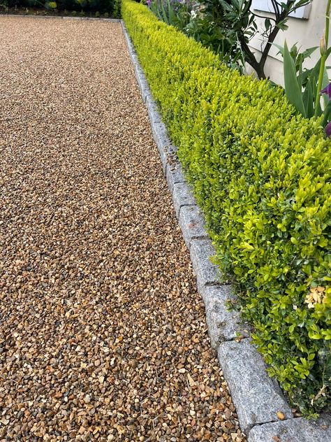 Naturally angular and hard-wearing, this attractive gravel has a warm golden brown palette with some creams and browns. Suitable applications include use with gravel grids, mulching of borders‚ paths‚ loose driveways and general landscaping. Laid on ECCOgravel stabilisation sheets. Project by Spring Landscapes. CED Stone Inspiring Beautiful Landscapes Golden Gravel Garden, Golden Gravel Driveway, Crushed Rock Driveway, Gravel Driveway Edging Cheap, Gravel Parking Area In Front Of House, Rock Driveways, River Rock Driveway, Pea Gravel Landscaping, Gravel Driveway Edging