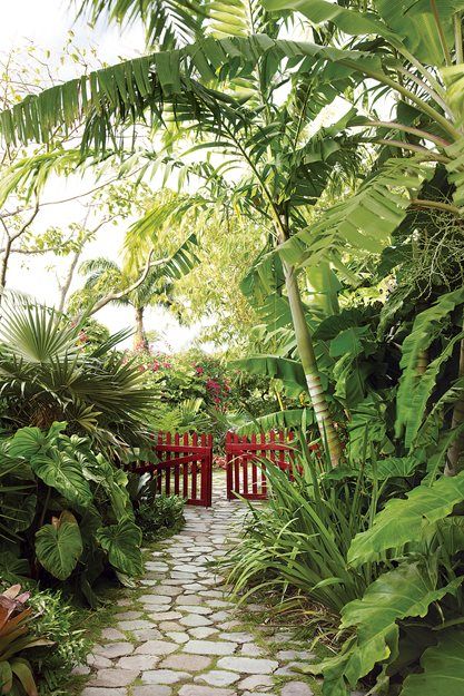 Caribbean Artists, Brice Marden, Tropical Backyard Landscaping, Tropical Garden Design, Tropical Backyard, Landscape Design Plans, Garden Tours, Tropical Landscaping, Garden Cottage