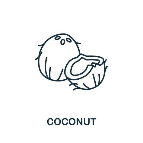 Illustration about Coconut icon from fruits collection. Simple line element coconut symbol for templates, web design and infographics. Illustration of coconut, fresh, tropical - 176657277 Cute Coconut Drawing, Coconut Line Art, Coconut Drawing Easy, Coconut Illustration Design, Coconut Doodle, Coconut Sketch, Logo Campaign, Coconut Drawing, Coconut Icon