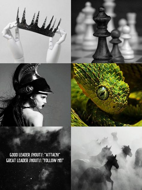 aesthetic ENTJ 8w7 slytherin Enneagram 8 Aesthetic, 8w7 Aesthetic, Entj 8w7, Pipes Aesthetic, Entj Aesthetic, Explorers Mbti, Entj Women, Victorian Era Aesthetic, Wizarding Schools