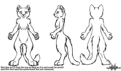 Biped Cat turnaround Cat Fursuit, Cat Template, Drawing Legs, Character Template, Drawing Heads, Model Sheet, Cat Pose, Cat Character, Drawing Templates