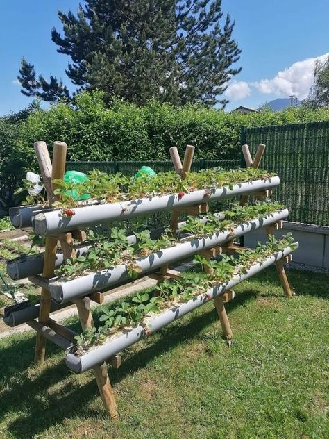 homemade haven: recipes, decor, diy and garden ideas | DIY Rain Gutter Ideas For Home And Garden Project | Facebook Soil Storage Ideas, Garden Buckets Planters, Vertical Vegetable Gardens, Vegetable Garden Diy, Veg Garden, Have Inspiration, Home Vegetable Garden, Garden Yard Ideas, Vegetable Garden Design