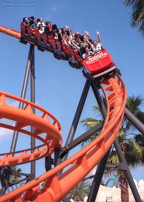 Crazy Roller Coaster, Best Roller Coasters, Busch Gardens Tampa Bay, Busch Gardens Tampa, Boyfriend Pranks Pictures, Amusement Park Rides, Carnival Rides, Roller Coaster Ride, Roller Coasters