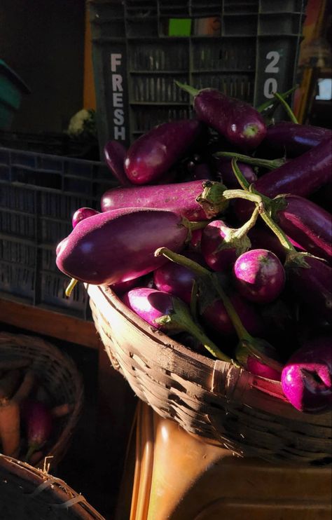 Eggplant Aesthetic, Purple Fruits Aesthetic, Eggplant Photography, Plum Aesthetic Fruit, Purple Vegetables And Fruits, Eggplant, Plum, Cherry, Fruit