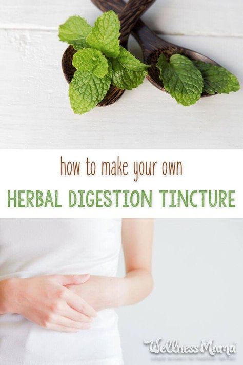 Herbal Digestion Tincture Remedy | Wellness Mama #Digestive #naturalremedies #herbal #homemade Tinctures Recipes, Wellness Mama, Home Remedy For Cough, Cold Sores Remedies, Herbal Tinctures, Natural Sleep Remedies, Natural Cold Remedies, Cold Home Remedies, Holistic Remedies