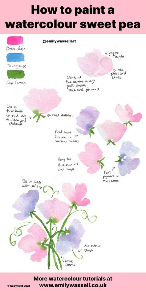 Watercolour Tutorial: How to Paint Sweet Pea Flowers | Emily Wassell Watercolour Tutorial, Learn Watercolor Painting, Sweet Pea Flowers, Flower Drawing Tutorials, Watercolor Flowers Tutorial, Watercolor Beginner, Learn Watercolor, Watercolor Paintings For Beginners, Diy Watercolor Painting