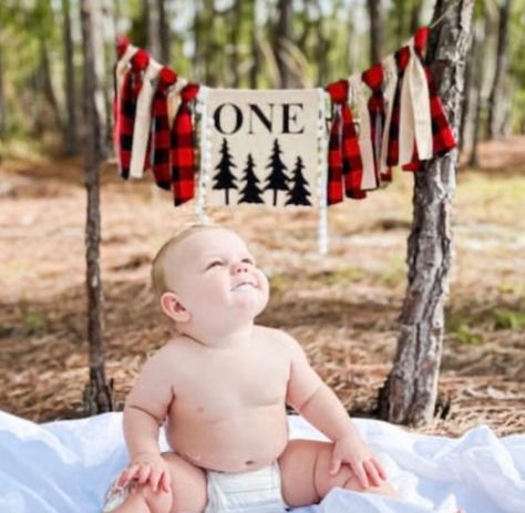 Wild One Party Ideas, Highchair Garland, Eating Pictures, Woodland Party Decorations, Lumberjack Birthday Party, Wild One Party, Lumberjack Birthday, First Birthday Hats, Buffalo Plaid Decor