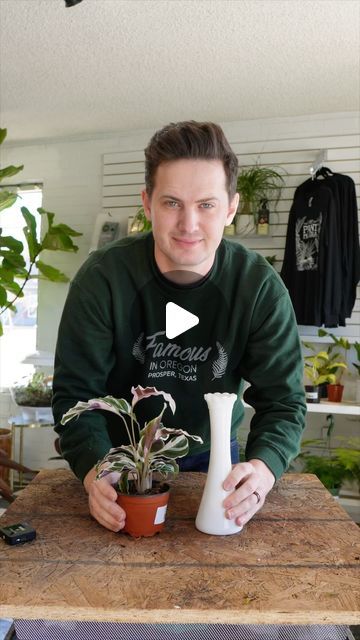 Tanner Mitchell on Instagram: "Calathea White Fusion in water culture. One of the most difficult things about calathea is keeping up with the frequent watering, but no need to fret if you plant in water! As always, cleanliness is important for water culture success- clean those roots! I recommend bright light for calathea- around 1000fc. #plantsofinstagram #houseplantcommunity" Calathea White Fusion, Plant In Water, Fusion Water, Easy House Plants, Calathea Plant, Bright Lights, Water Plants, Bright Light, In Water