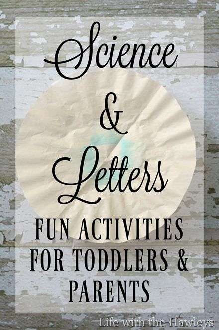 Science Letters and the Alphabet- Life with the Hawleys #homeschool #preschool #toddlers #learning #education #science #activity #fun #afforable #montessori #handson #letters Alphabet Science Activities Preschool, Science For Toddlers, Preschool Science Activities, Education Science, Fun Activities For Toddlers, Science Activity, Parent Life, Preschool Science, Parenting Toddlers