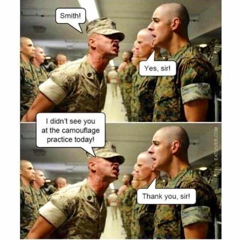 Keep To Yourself, Sweet Memes, Military Humor, Girl Memes, Fb Memes, Daily Memes, Dad Jokes, Edgy Memes, Images Gif