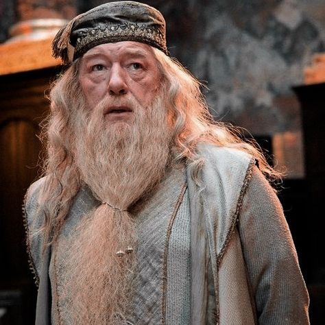 Harry Potter Fanları, Harry Potter Sketch, Harry Potter Professors, Hogwarts Professors, Harry Potter Dumbledore, Michael Gambon, Harry Potter Icons, Hogwarts Aesthetic, Fred Weasley