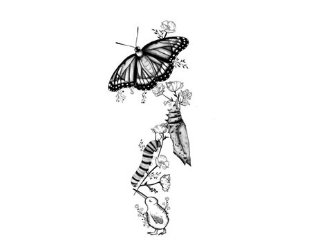 Caterpillar To Butterfly Transformation, Butterfly Transition Tattoo, Monarch Butterfly Life Cycle Tattoo, Stages Of Butterfly Tattoo, Caterpillar Turning Into Butterfly Tattoo, Butterfly Tattoo Metamorphosis, Stages Of Butterfly Life Cycle Tattoo, Stages Of A Butterfly Tattoo, Cocoon To Butterfly Tattoo