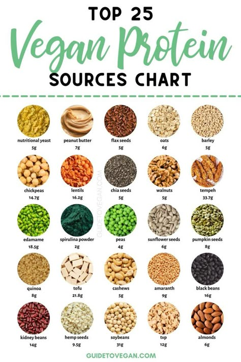 vegan protein sources chart Vegan Protein Sources Chart, Best Vegan Protein Sources, Plant Protein Sources, Plant Based Protein Sources, Vegetarian Protein Sources, Vegan Protein Recipes, Best Vegan Protein, Vegan Protein Sources, Vegetarian Protein