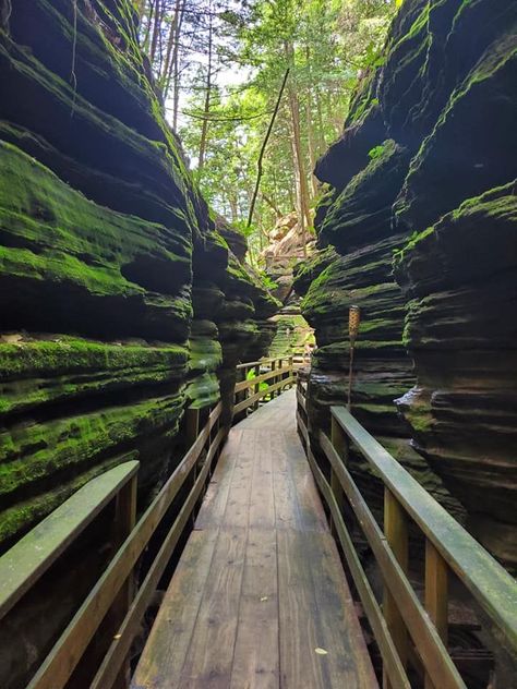 Witch’s Gulch is best described as a slot canyon (a gulch is actually a deep V-shaped valley formed by erosion), but it offers some of the coolest, most interesting views in the Dells. Witches Gulch, Dells Wisconsin, Wisconsin Dells, Hiking Routes, Slot Canyon, The Witches, Budget Travel Tips, Rent A Car, World Traveler