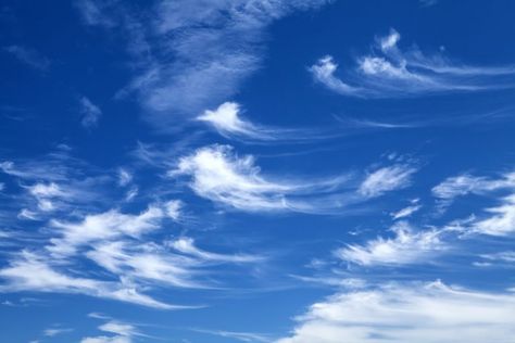 Cirrus Clouds Nimbostratus Clouds, Types Of Clouds, Cirrus Cloud, Lenticular Clouds, Cumulus Clouds, Clouds Photography, Thunder And Lightning, Weather And Climate, Weather Report