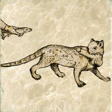 Midevil Cat Paintings, Medieval Animal Art, Medieval Cat Painting, Medieval Cat Tattoo, Cat Tiles, Medieval Drawing, Medieval Cats, Medieval Cat, Medieval Marginalia