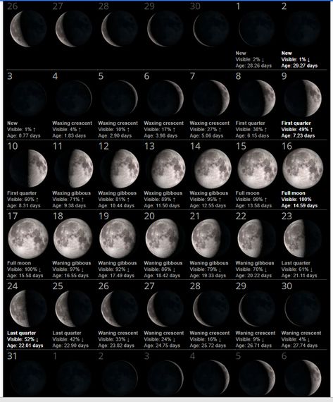 New Moon And Full Moon, Full Moon Calendar, Moon Phases Calendar, May Full Moon, Full Moon Phases, New Moon Phase, Moon Date, Moon Phase Calendar, Moon Rituals