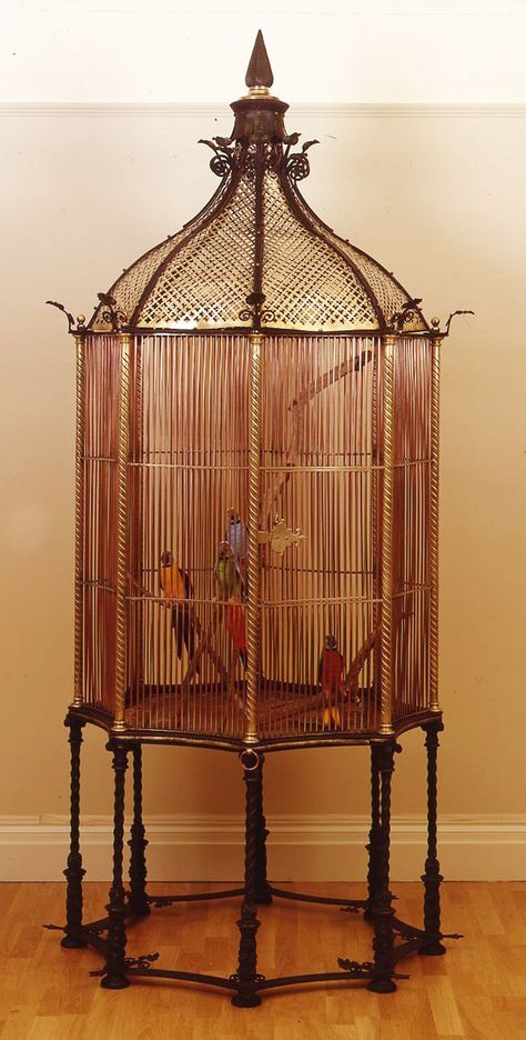 Victorian Birdcage, Carpenter Bee Trap, Antique Bird Cages, Henry Jones, The Caged Bird Sings, Bird Aviary, Bird Cage Decor, Best Iron, Vintage Bird Cage