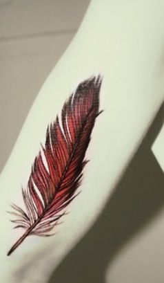 Cardinal Feather Tattoo, Cardinal Feather, Tattoo Feather, Feather Butterfly, Cardinal Tattoos, Butterfly Inspiration, Trendy Tattoo, Feather Tattoo