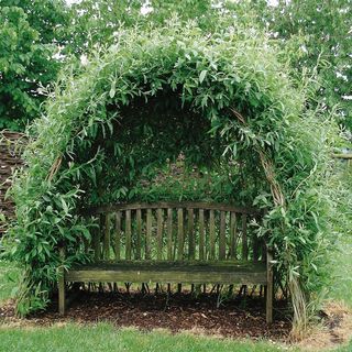 Willow Kit, Garden Tunnel, Tunnel Design, Living Willow, Garden Nook, Sensory Garden, Garden Arbor, Magical Garden, Woodland Garden