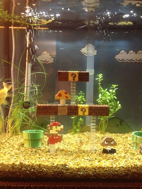 Super Mario Aquarium. Only way it would be cooler is if it was an underwater level. Lego Fish, Cool Fish Tanks, Diy Aquarium, Cool Fish, Lego Super Mario, Tanked Aquariums, Aquarium Decorations, Fish Tank Decorations, Aquarium Fish Tank