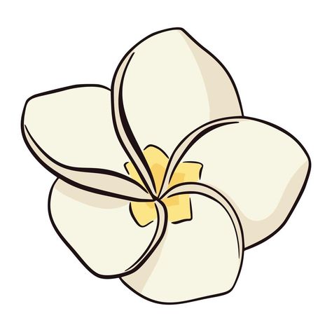 Yellow Plumeria, Flower Vector Illustration, Illustration Flat, Flower Vector, Tropical Flower, Flat Style, Exotic Flowers, Tropical Flowers, Fashion Flats