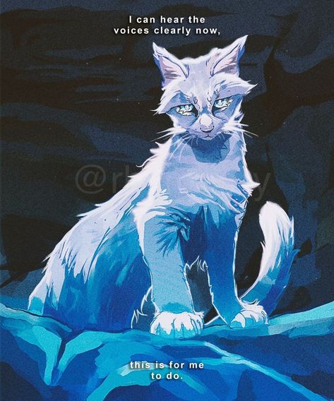 Feathertail Warrior Cats, Warrior Cats Series, Warrior Cats Books, Warrior Cats Fan Art, Warrior Cat Drawings, Warriors Cats, Warrior Cats Art, Cat Books, Cat Boarding