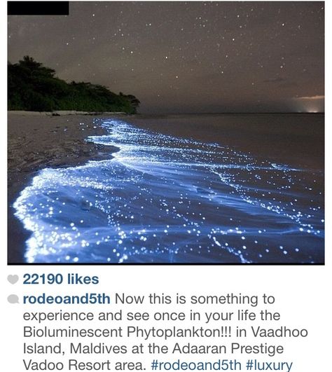 Bioluminescent phytoplankton in Vaadhoo Island, Maldives at the Adaaran Prestige Vadoo Resort area! Vaadhoo Island, Sea Of Stars, Star Ocean, Earth Pictures, Ocean Wave, Nikon Photography, Ocean Waves, Maldives, Places To Go