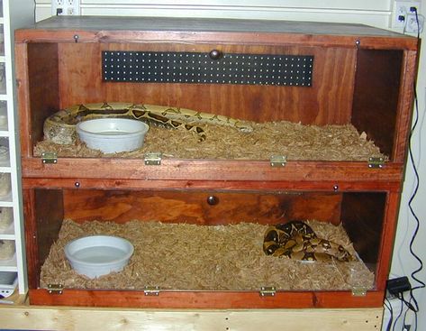 Gecko Cage, Ball Python Care, Snake Cages, Diy Reptile, Bearded Dragon Enclosure, Snake Enclosure, Snake Wood, Enclosure Ideas, Turtle Pond