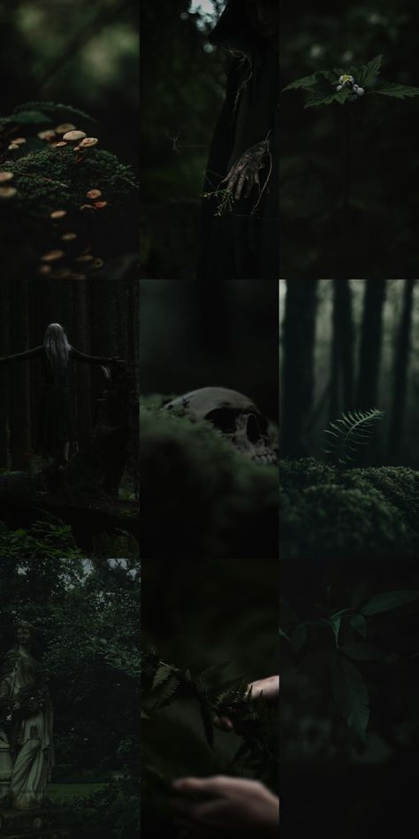 Dark Naturalism, Dark Forest Aesthetic, Fairy Wallpaper, Dark Green Aesthetic, Slytherin Aesthetic, Beltane, Witch Aesthetic, Fantasy Aesthetic, Aesthetic Pastel Wallpaper