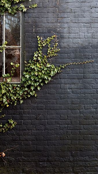 Black paint in a matte finish gives an exterior brick wall a modern update. A creeping vine adds extra character to the irregular wall surface. Mimic the look at home with our pro advice on painting brick. Décor Steampunk, Painted Brick Walls, Pintura Exterior, Fotografi Digital, A Brick Wall, Steampunk Decor, Black Brick, Exterior Wall Design, Painted Brick