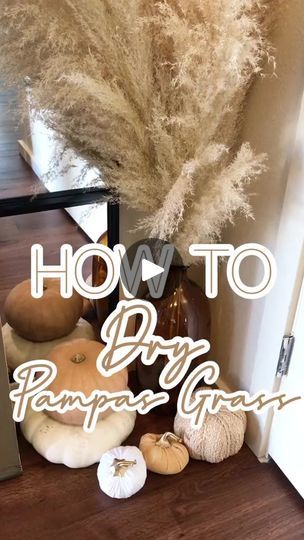 1.1K views · 18 reactions | DIY pampas grass #ScaryStories #LaptopCat #pampasgrass #diypampasgrass #diyfalldecor #diyhomedecor #homedecoronabudget | Ariana Kennedy | Ariana Kennedy · Original audio Pampas Deco, Diy Pampas, Dry Pampas, Grass Decor, Pampas Grass Decor, Boho Baby Shower, Boho Diy, Diy Crafts For Home Decor, Fall Decor Diy