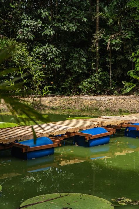 Bridge Over Water, Floating Bridge, Small Bridge, Vision 2024, Floating Deck, Architecture Inspiration, Army Wallpaper, Bridge Design, Green City