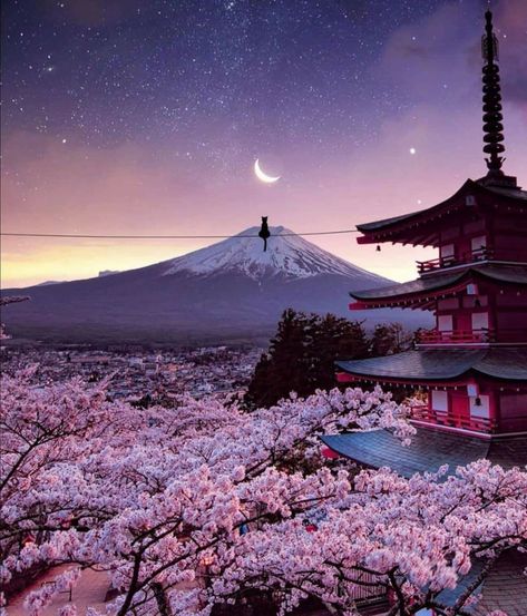 Mount Fuji Japan, Monte Fuji, Japan Landscape, Japan Photography, Japon Illustration, Japan Aesthetic, Aesthetic Japan, Shizuoka, Mount Fuji